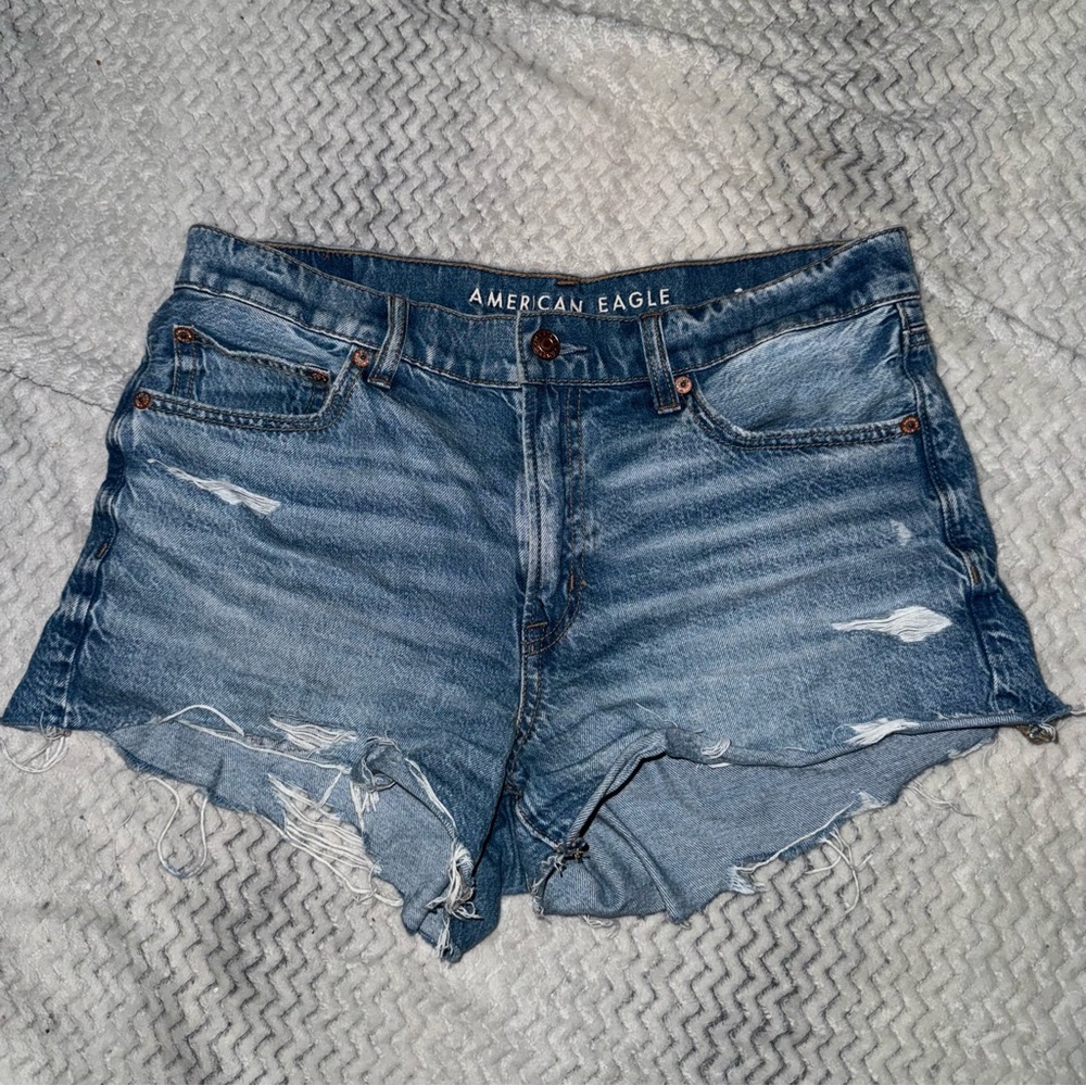 American Eagle Outfitters Denim Distressed Shorts